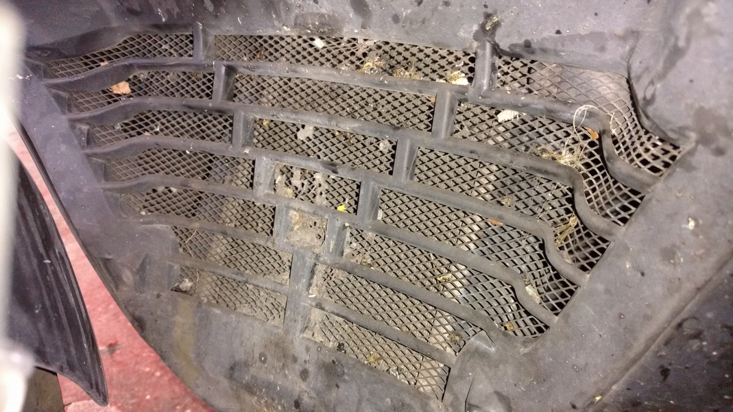grille_radiateur_2